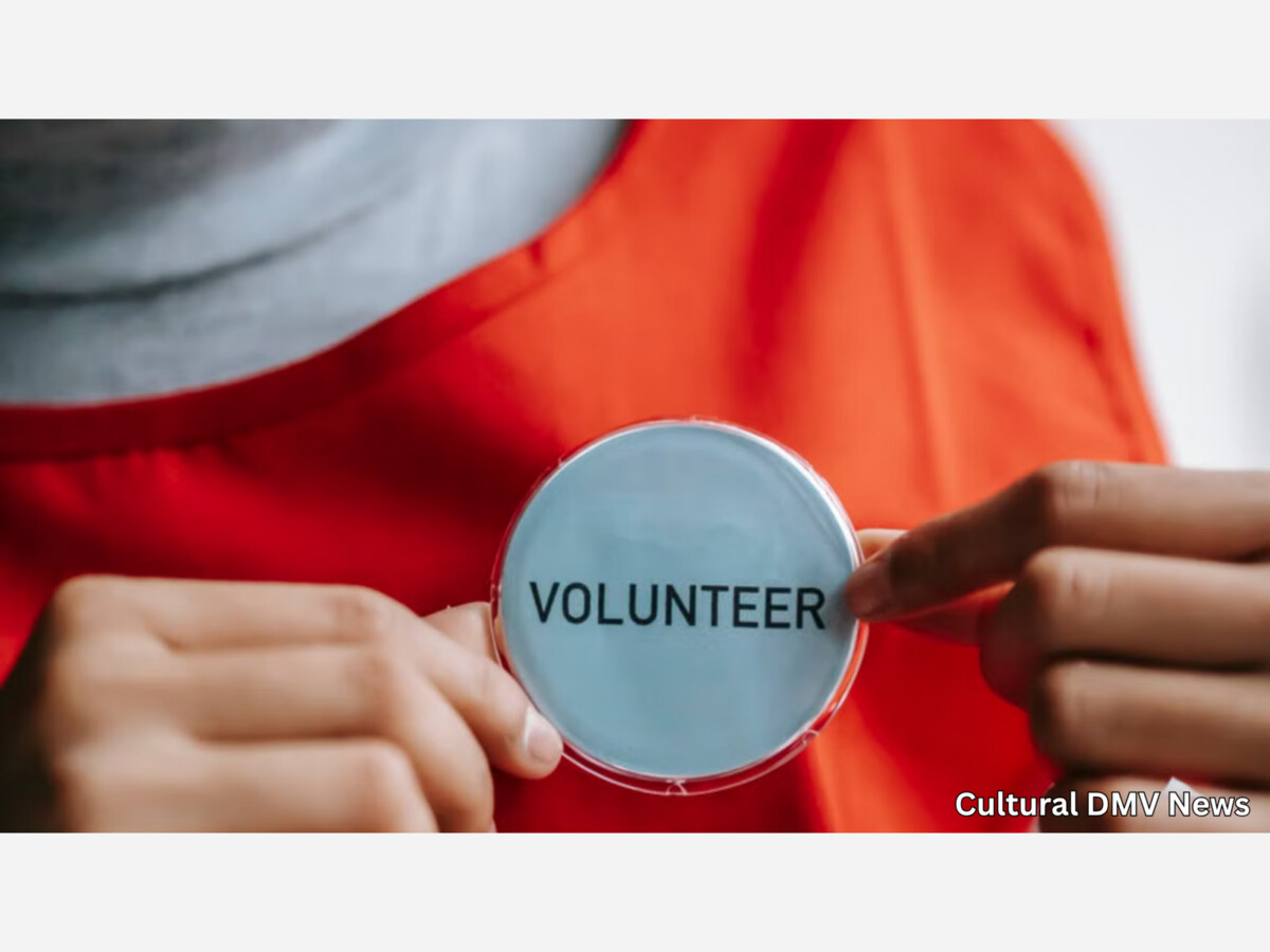 The Guide to Arts & Wellness Volunteering in the DMV (Summer 2026 Edition)