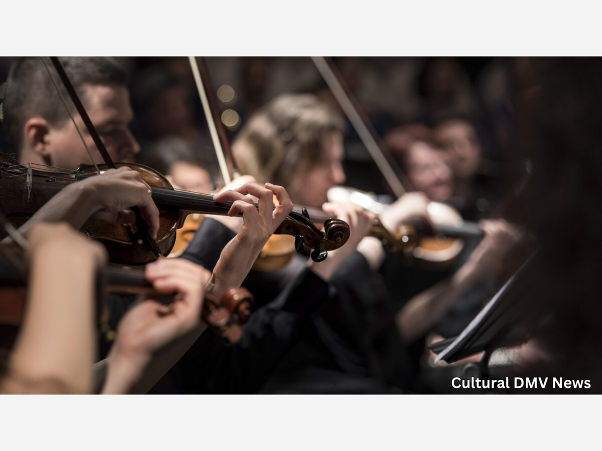 Strings, Ice Cream, and a Proper Farewell to Summer at Potter Violins