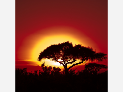 Guardians of Storytelling Traditions: Folklore and Myths From Around The World 