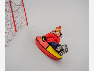 Snowy Days Promise A Chilled Mid-January in the DMV