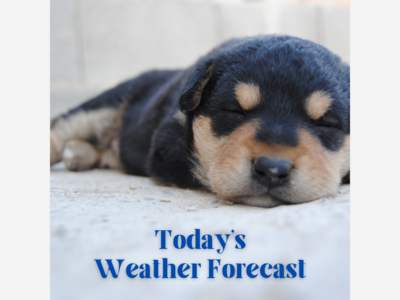 Takoma Park, Silver Spring & DC area weather forecast for Thursday, Mar 14 - Monday, Mar 18