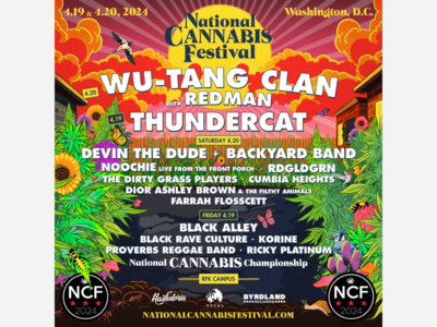 Cannabis Festival 2024: Bigger Than Ever Before!