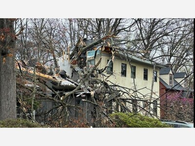 No Injuries After Tree Comes Down on Homes in Takoma Park