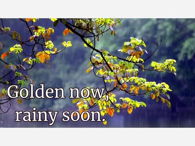 Weekend forecast for Takoma Park Friday, Mar 20 - Sunday, Mar 22