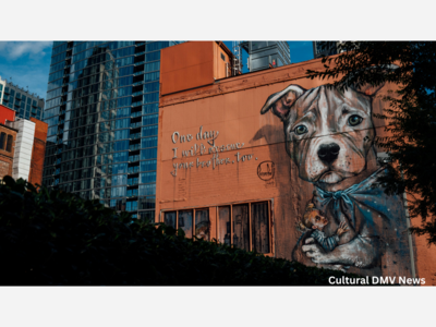  Don’t Let the DMV Change Without You Noticing: Introducing Before It’s Gone