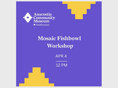 Mosaic Fishbowl Workshop