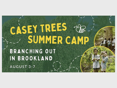 Summer Camp: Branching Out In Brookland (August 3-7)