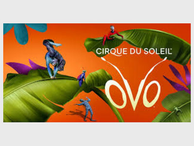 Cirque Du Soleil - Ovo