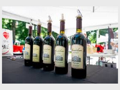 The 32nd Annual Wine in the Woods festival