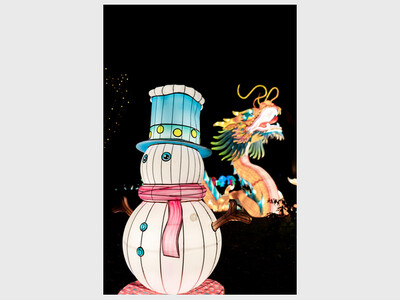 Winter Lantern Festival