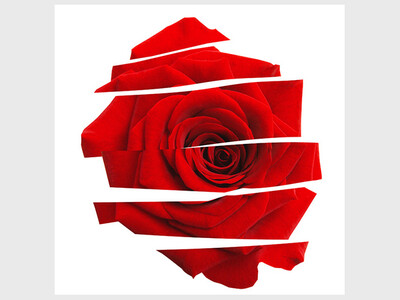 Virginia Opera: Carmen