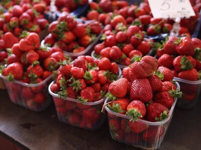 Derwood Farmers Market Strawberry Day