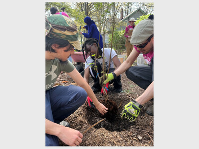  Community Food Forest Collective 