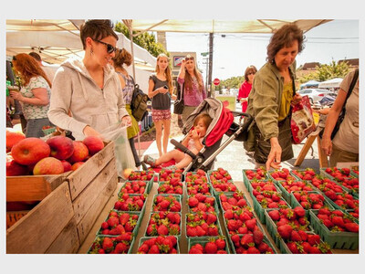 Takoma Park Farmers Market 