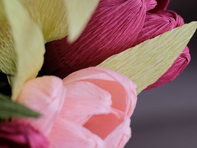 Spring Tulips and Basket Craft