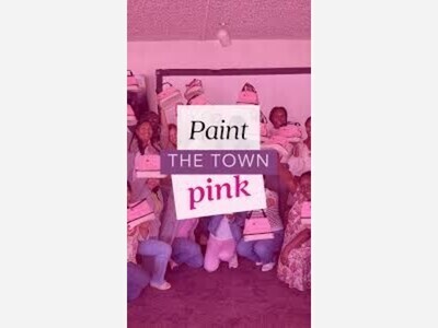  PAINT THE TOWN PINK: DMV NANNY EDITION 